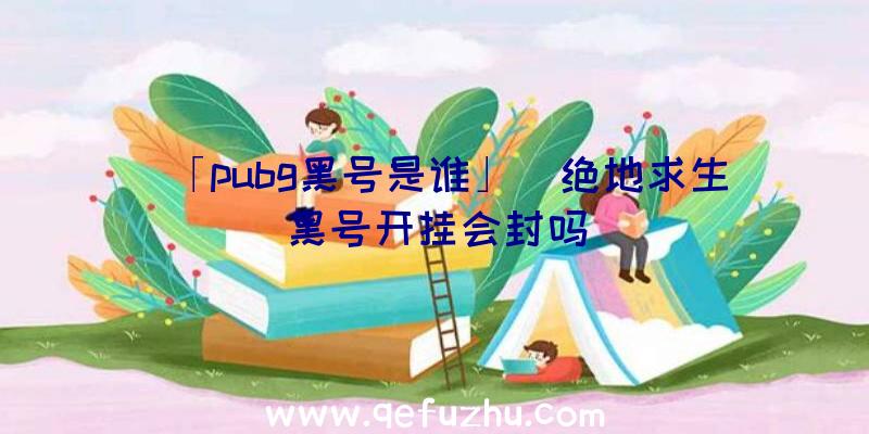 「pubg黑号是谁」|绝地求生黑号开挂会封吗